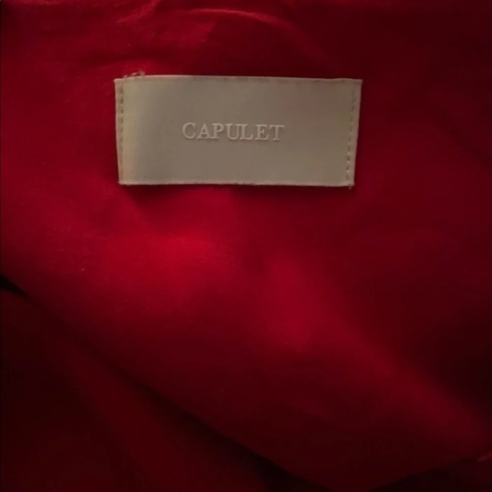 Capulet Rosa Skirt‎ In Red Small (Revolve)